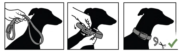 9.png